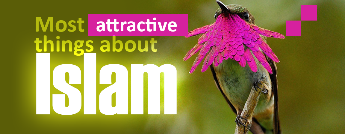 Colorful bird,10 Most attractive things about Islam