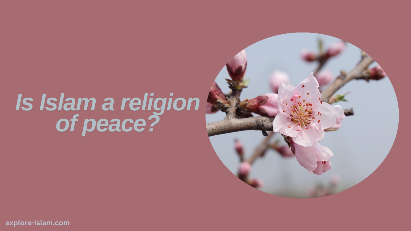 Is Islam a religion of peace?